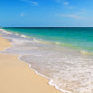 Meet your Posher, Kacey